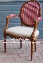 tissu CALISTO rayure velours fond naturel